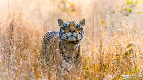 10 Places That Will Make You Want To Book Your Next Vacation To Madhya Pradesh